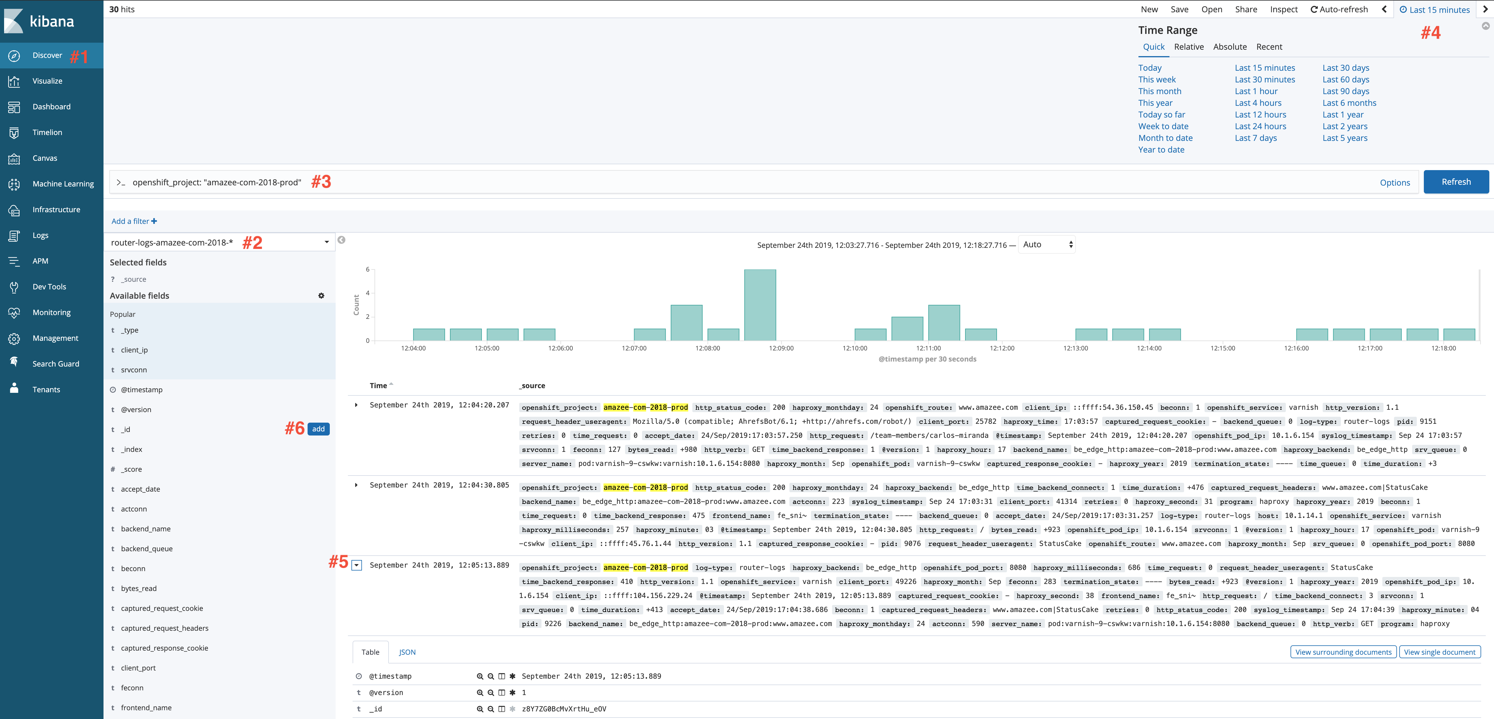 How to get the total number of hits/requests to your site in Kibana.